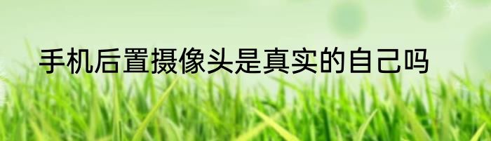 手机后置摄像头是真实的自己吗