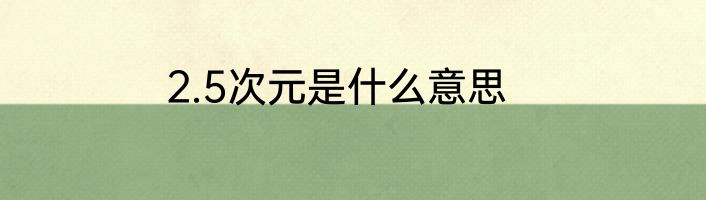 2.5次元是什么意思