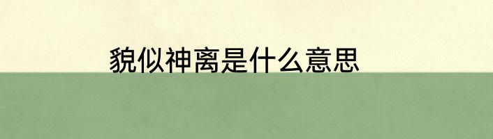 貌似神离是什么意思