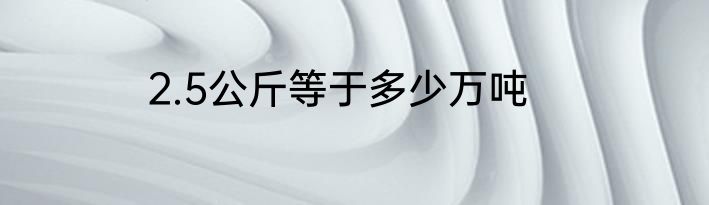 2.5公斤等于多少万吨