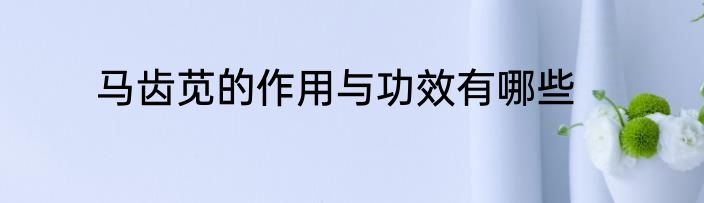 马齿苋的作用与功效有哪些