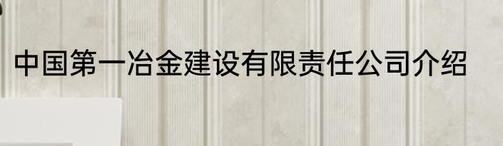 中国第一冶金建设有限责任公司介绍