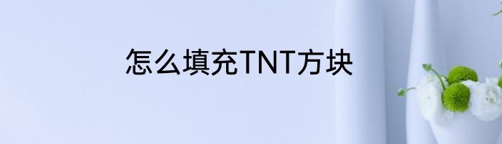 怎么填充TNT方块