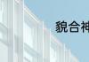 貌合神什么的成语