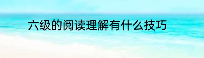 六级的阅读理解有什么技巧