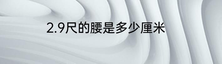 2.9尺的腰是多少厘米