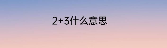 2+3什么意思