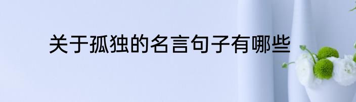 关于孤独的名言句子有哪些