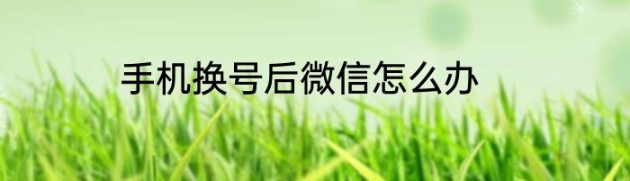 手机换号后微信怎么办