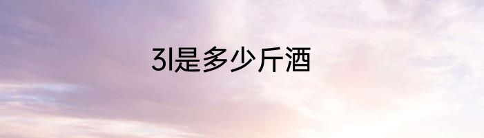 3l是多少斤酒