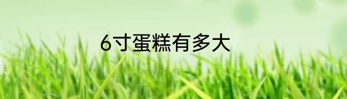 6寸蛋糕有多大