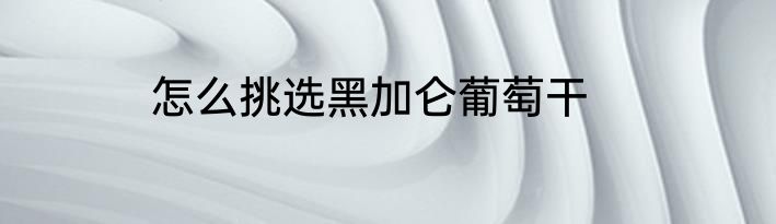 怎么挑选黑加仑葡萄干