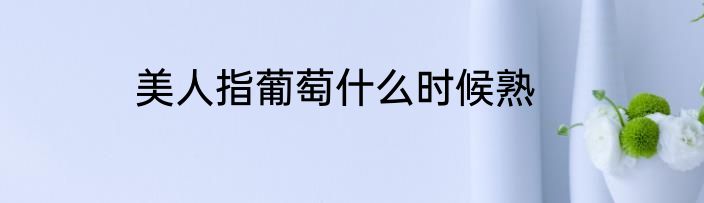 美人指葡萄什么时候熟