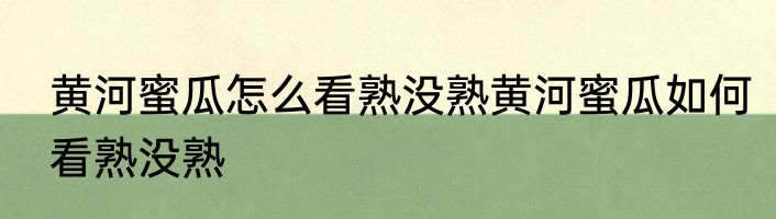 黄河蜜瓜怎么看熟没熟黄河蜜瓜如何看熟没熟