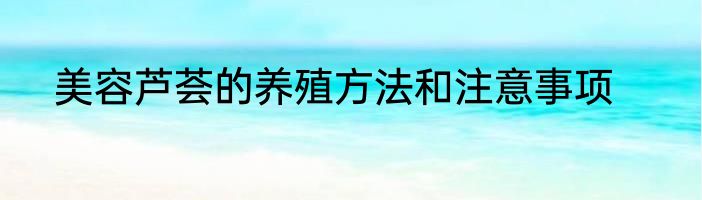 美容芦荟的养殖方法和注意事项