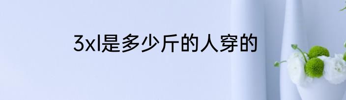3xl是多少斤的人穿的