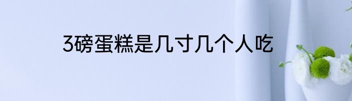 3磅蛋糕是几寸几个人吃