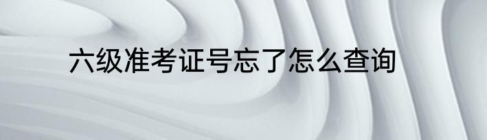 六级准考证号忘了怎么查询