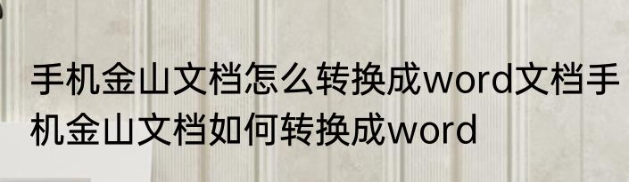 手机金山文档怎么转换成word文档手机金山文档如何转换成word