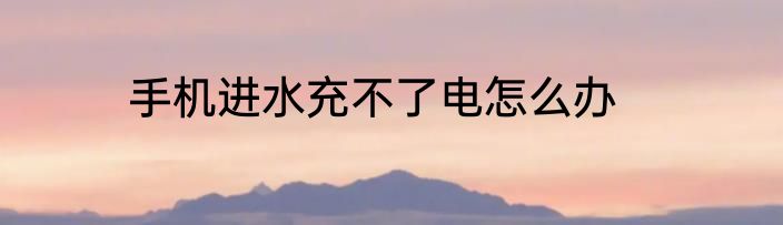 手机进水充不了电怎么办