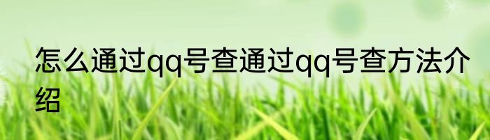 怎么通过qq号查通过qq号查方法介绍