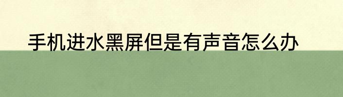 手机进水黑屏但是有声音怎么办