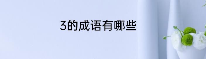 3的成语有哪些