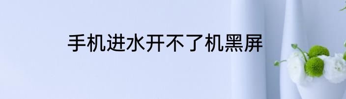 手机进水开不了机黑屏