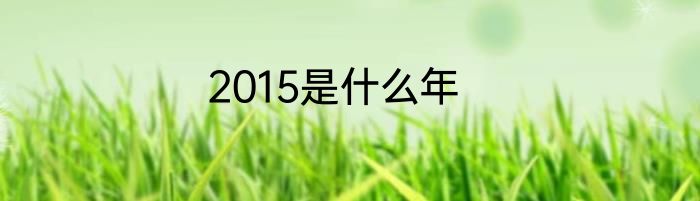 2015是什么年