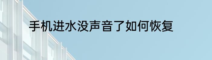 手机进水没声音了如何恢复