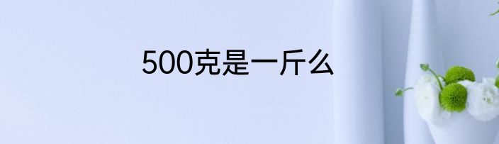 500克是一斤么