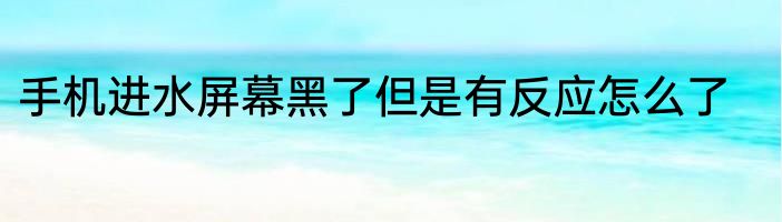 手机进水屏幕黑了但是有反应怎么了