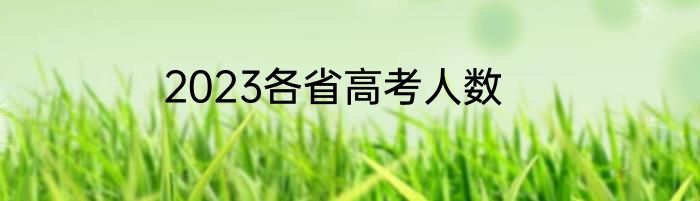 2023各省高考人数
