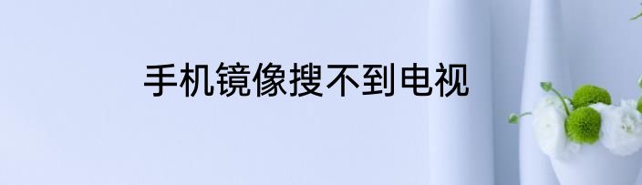 手机镜像搜不到电视