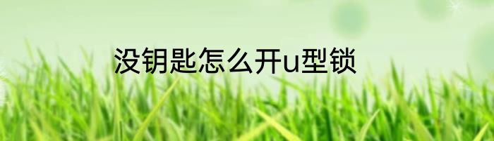没钥匙怎么开u型锁
