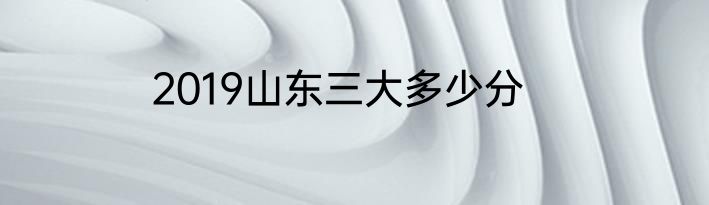2019山东三大多少分