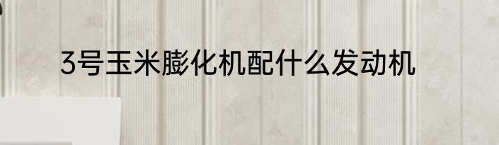 3号玉米膨化机配什么发动机