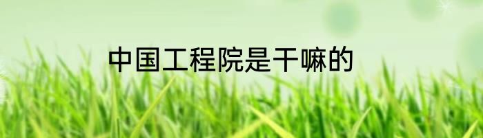 中国工程院是干嘛的