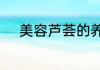 美容芦荟的养殖方法和注意事项