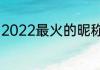 2022最火的昵称最火网名男情难自控