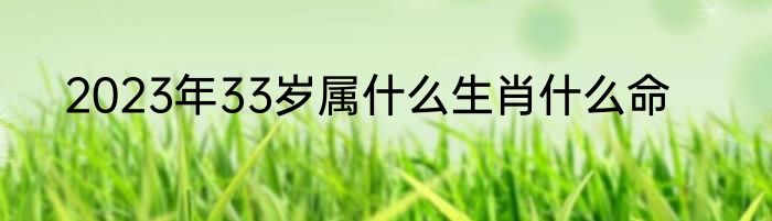 2023年33岁属什么生肖什么命