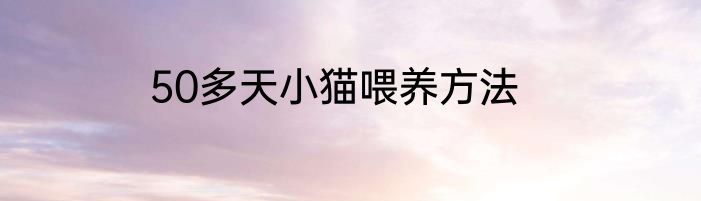 50多天小猫喂养方法