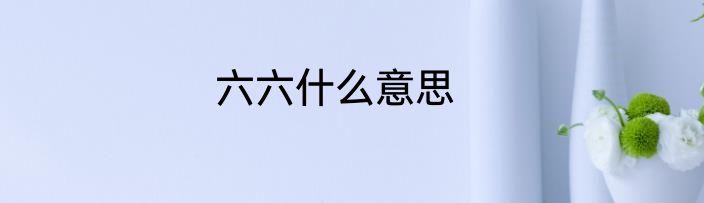 六六什么意思
