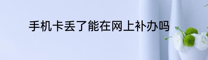 手机卡丢了能在网上补办吗