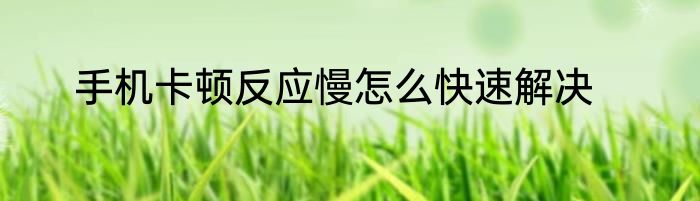手机卡顿反应慢怎么快速解决