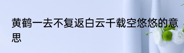 黄鹤一去不复返白云千载空悠悠的意思