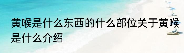 黄喉是什么东西的什么部位关于黄喉是什么介绍