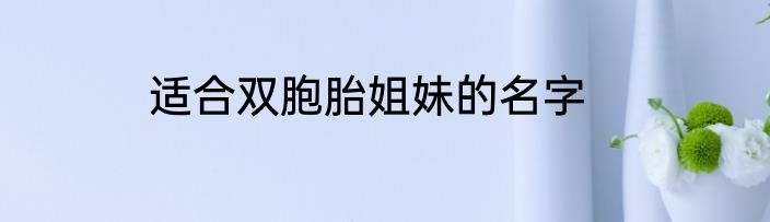适合双胞胎姐妹的名字