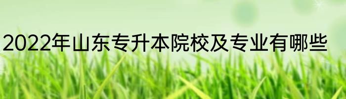2022年山东专升本院校及专业有哪些