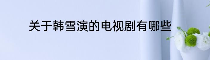 关于韩雪演的电视剧有哪些